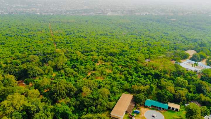 Arocha Ghana unhappy over government’s decision to declassify parts of Achimota forest