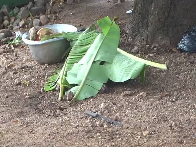 Coconut Seller killed by lightning