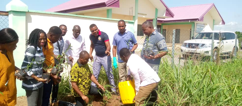 Ketu South secures 1D1F land with Green Ghana trees