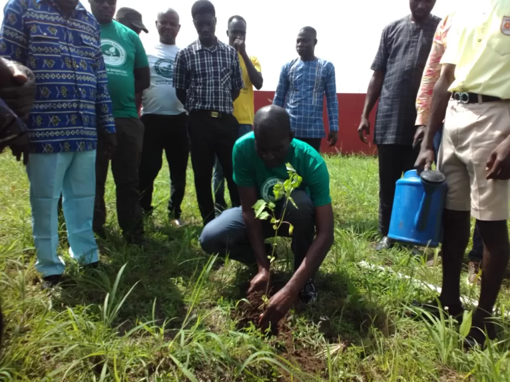 Green Ghana Day: Krachi East targets 3,000 tree seedlings