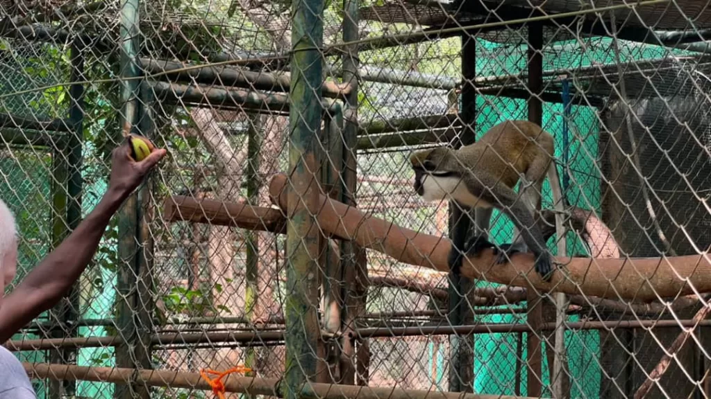 Accra Zoo