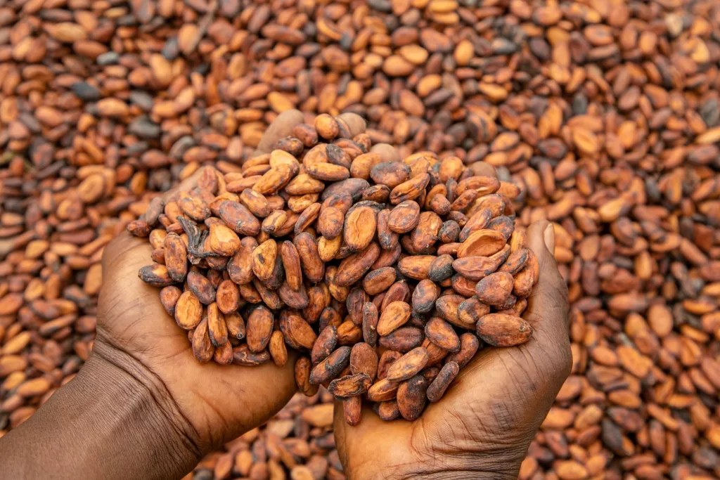 Ghana partners Coted'Ivoire to improve Cocoa pricing regime