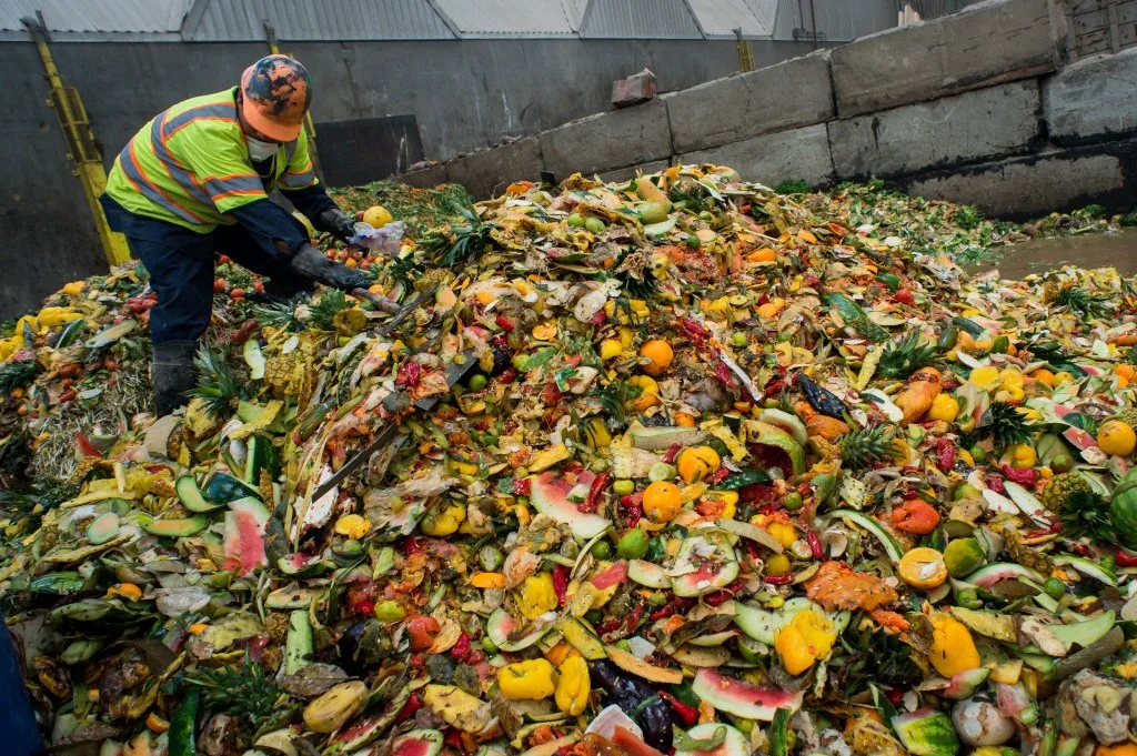 Households waste 1bn meals daily in 2022 – UN report