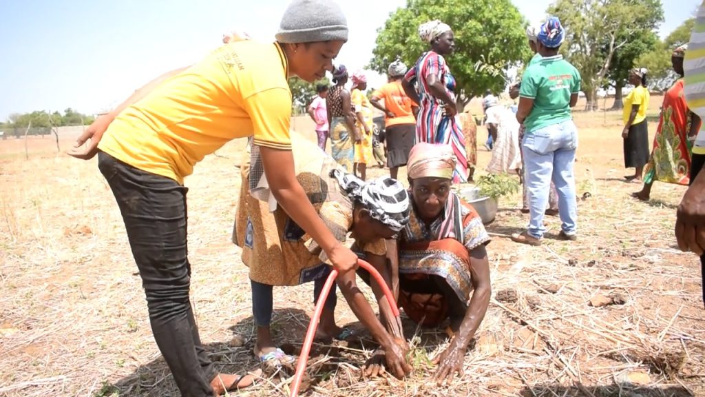 Maltaaba women to plant 1000 pawpaw and other trees to combat climate change