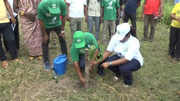 Volta Region: Stakeholders plant trees at UHAS to mark Green Ghana Day