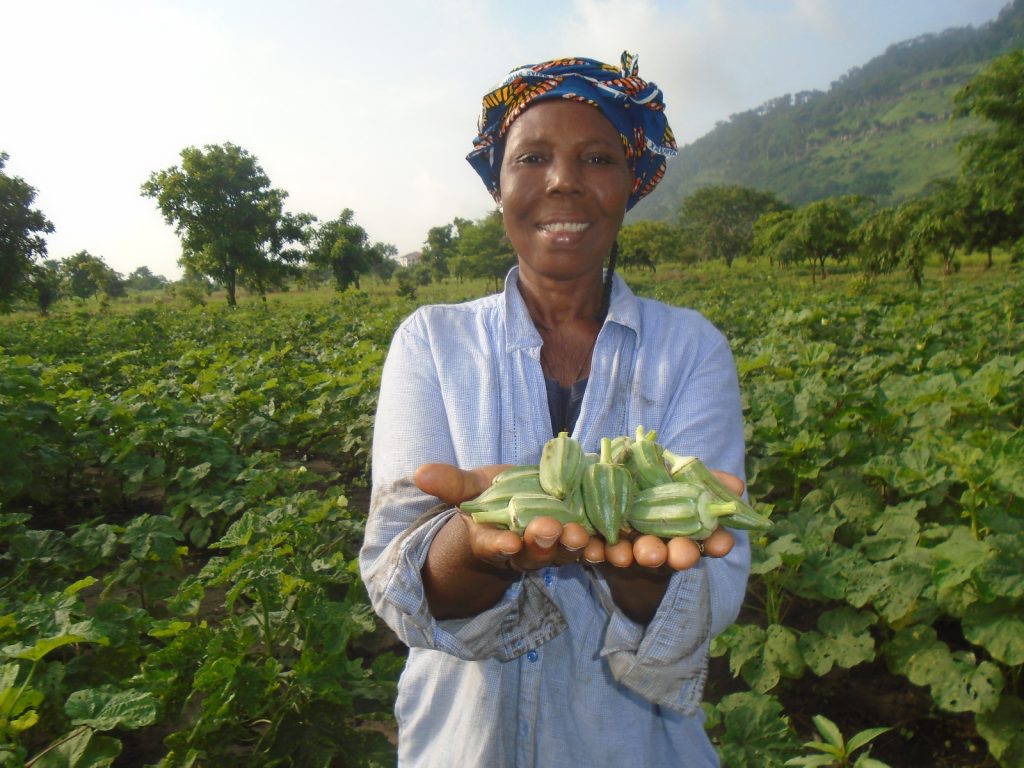 ActionAid Ghana and Partners continue to support smallholder women farmers to achieve zero hunger