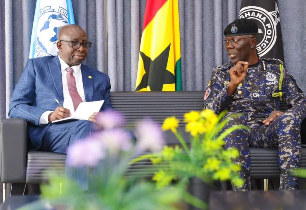 IGP and INTERPOL Rep in Africa confer over combating transnational crime