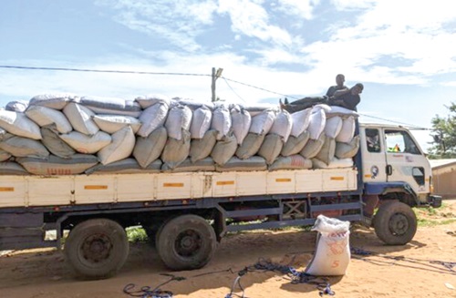 Cocoa smuggling task force seizes 100 bags in Old Akrade