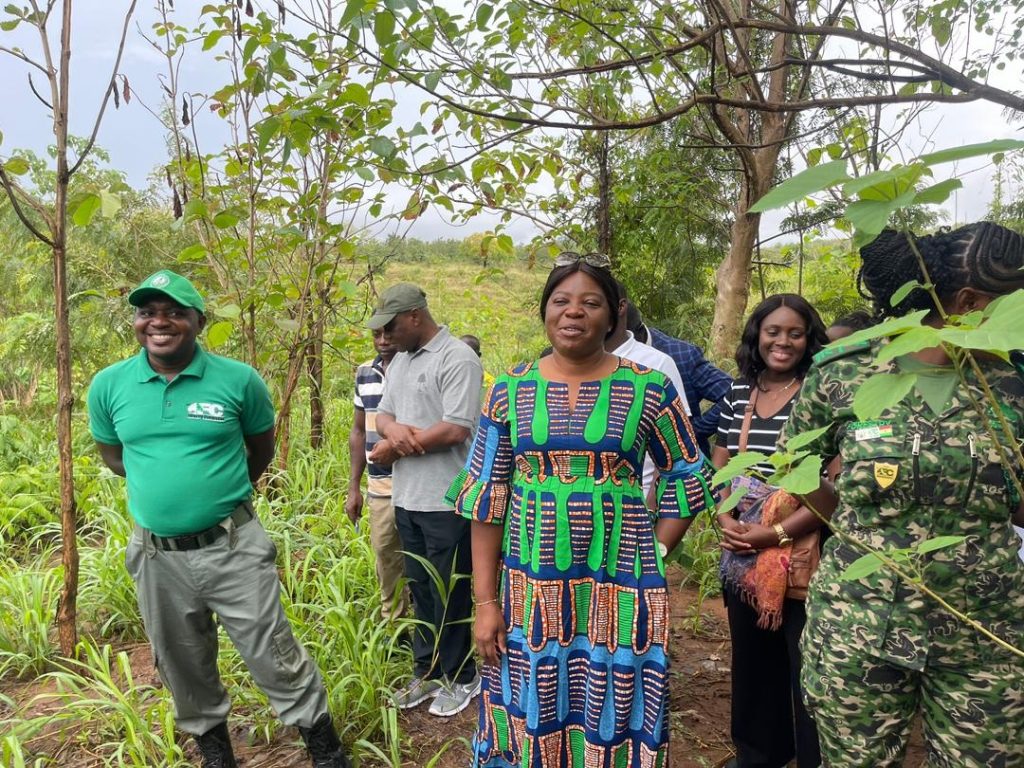 Kwahu Ridge landscape restoration project doing well