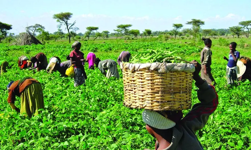 National Farmers' Day Celebration: emerging challenges, concerns